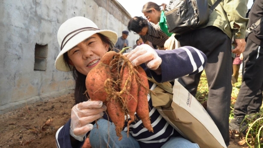 微信图片_20241012152002