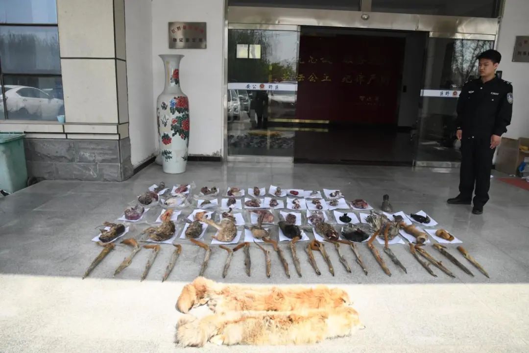 菏泽警方侦破一起特大非法狩猎与传授犯罪方法案