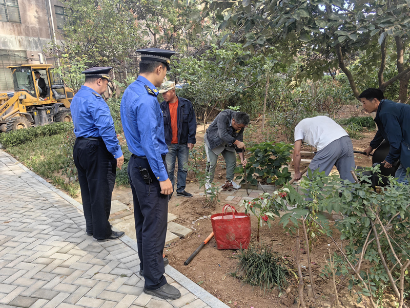 老旧楼院提升改造：整治圈占绿地 守护绿色家园(图1)
