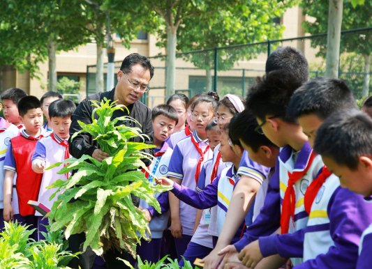 学生在试验田上科学课学习植物知识