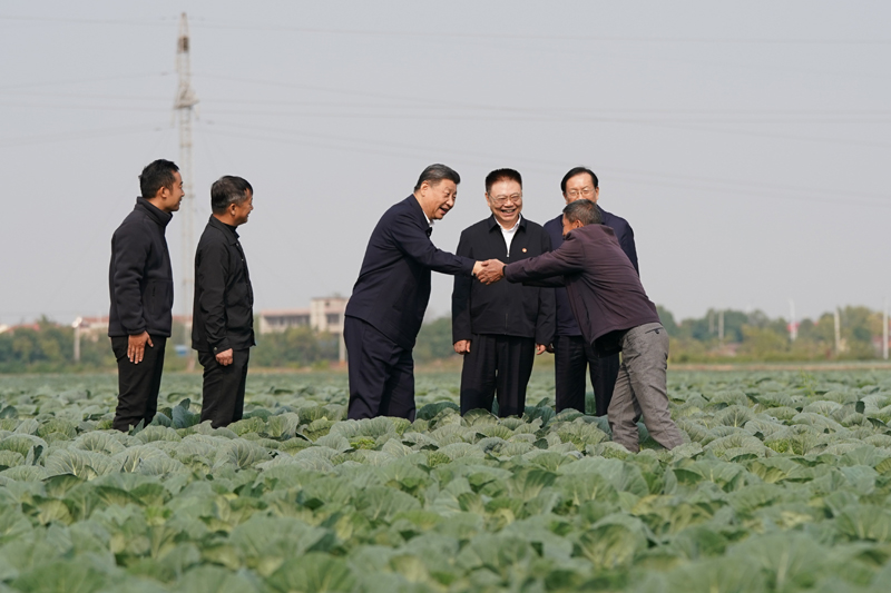 2024年11月5日，习近平在湖北省咸宁市嘉鱼县潘家湾镇十里蔬菜长廊考察时，同菜农亲切交流。