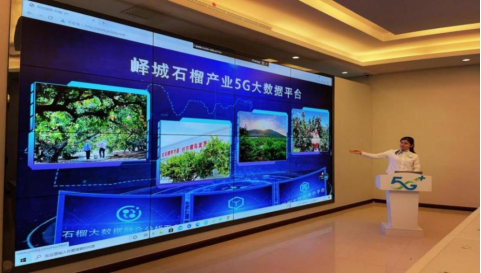 C:UsersLenovoAppDataLocalMicrosoftWindowsINetCacheContent.Word石榴1.png