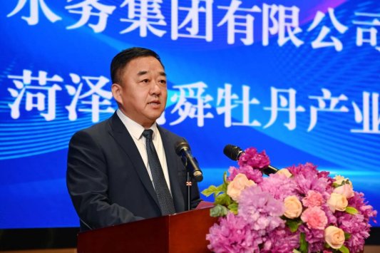 8df4e6d6d441a352239e387ec0f1e1a4