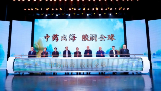 2024冬至东阿阿胶滋补节盛大开幕