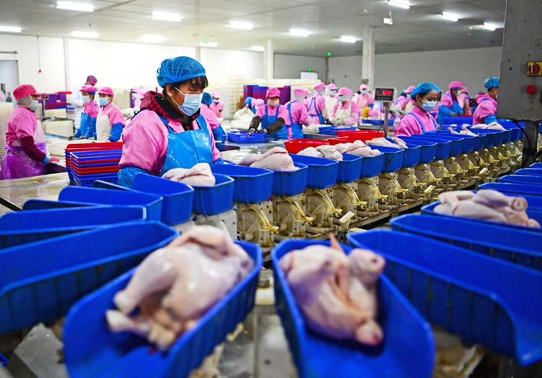 左手家庭,右手事业!山东各地“妈妈岗”上线“家门口”上班