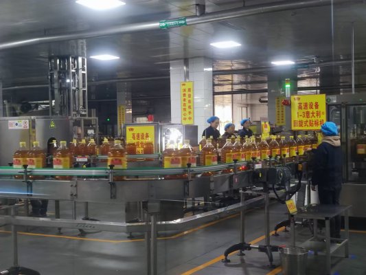 35cc646343b6c397cc8a006466c5547