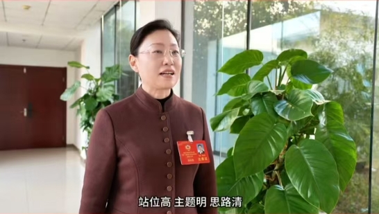两会好声音 | 济南市莱芜区政协委员曹琳琳:以文旅融合促高质量发展