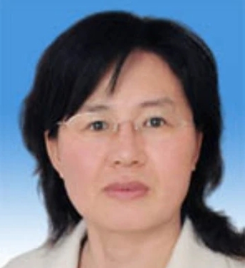 赵文君