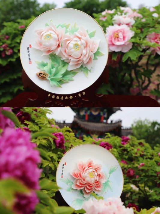 fddfe1dc43b6389b8445a4c8b75324d