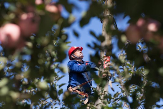 35b9e0573c0503ddbaee1c6fc3da86e