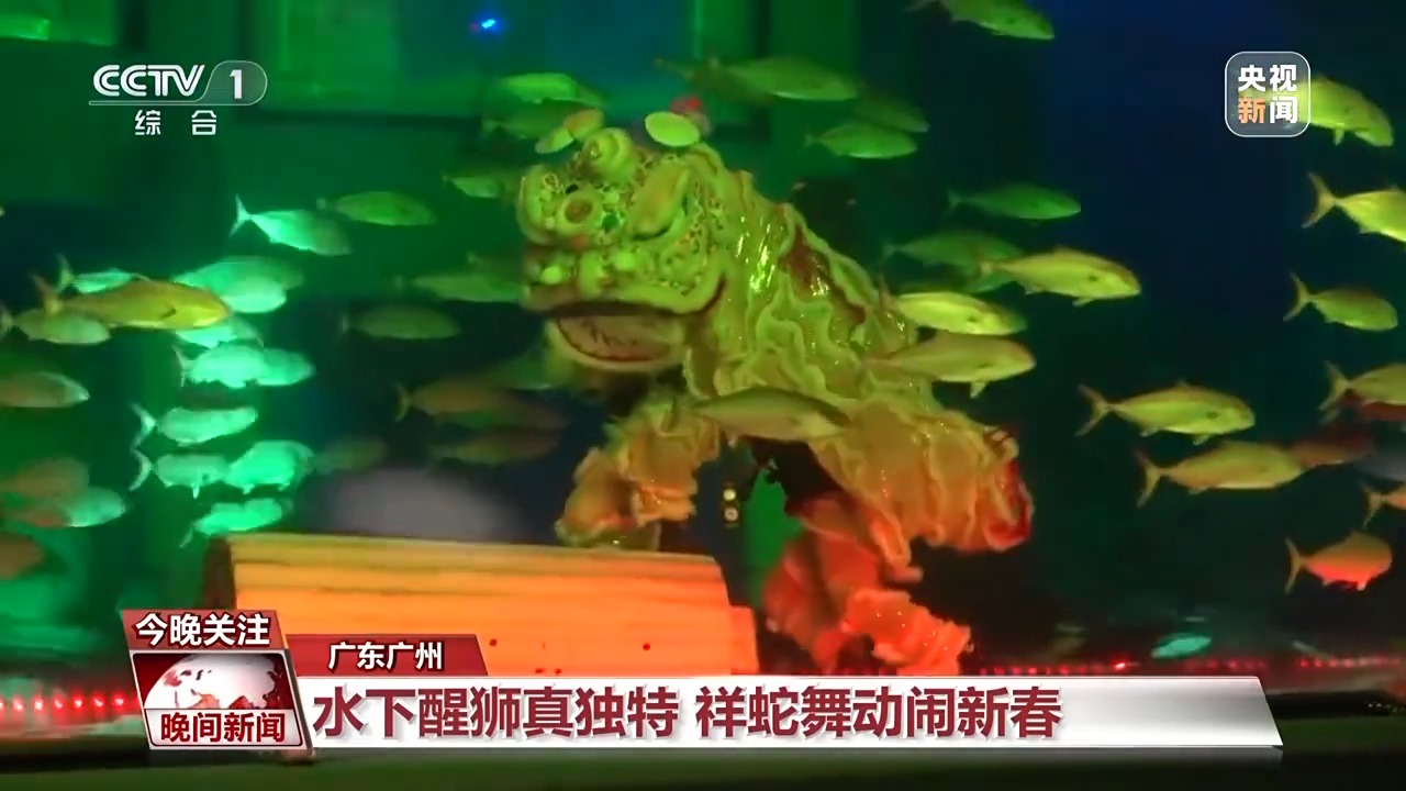 春节除了逛庙会还能干什么？赶快去各地打卡民俗 感受假日魅力~