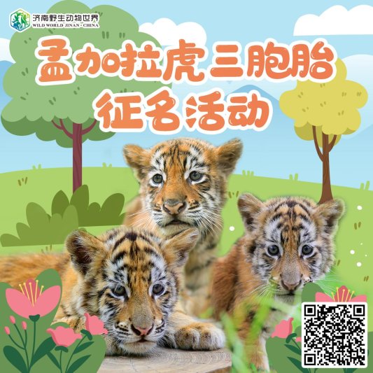 787022bb90a045f135abb5548e3bd7d