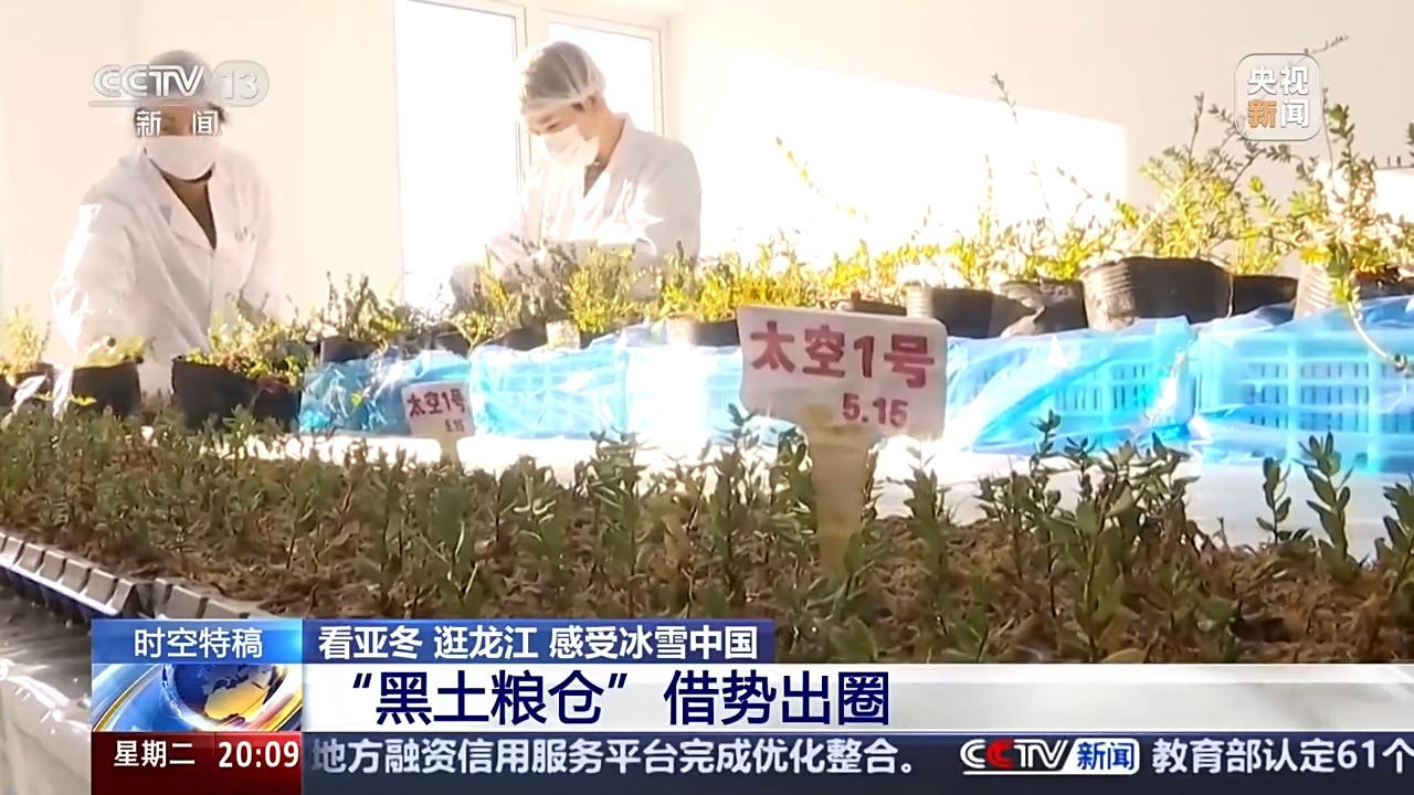 “冰雪搭台、粮食唱戏” 当亚冬邂逅黑土地,会碰撞出怎样的火花?