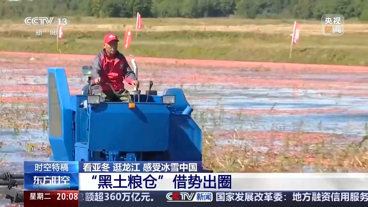 “冰雪搭台、粮食唱戏” 当亚冬邂逅黑土地,会碰撞出怎样的火花?