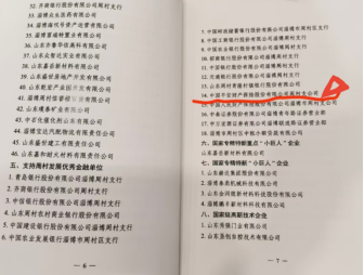 平安产险周村支公司荣获“支持周村发展优秀金融单位”称号