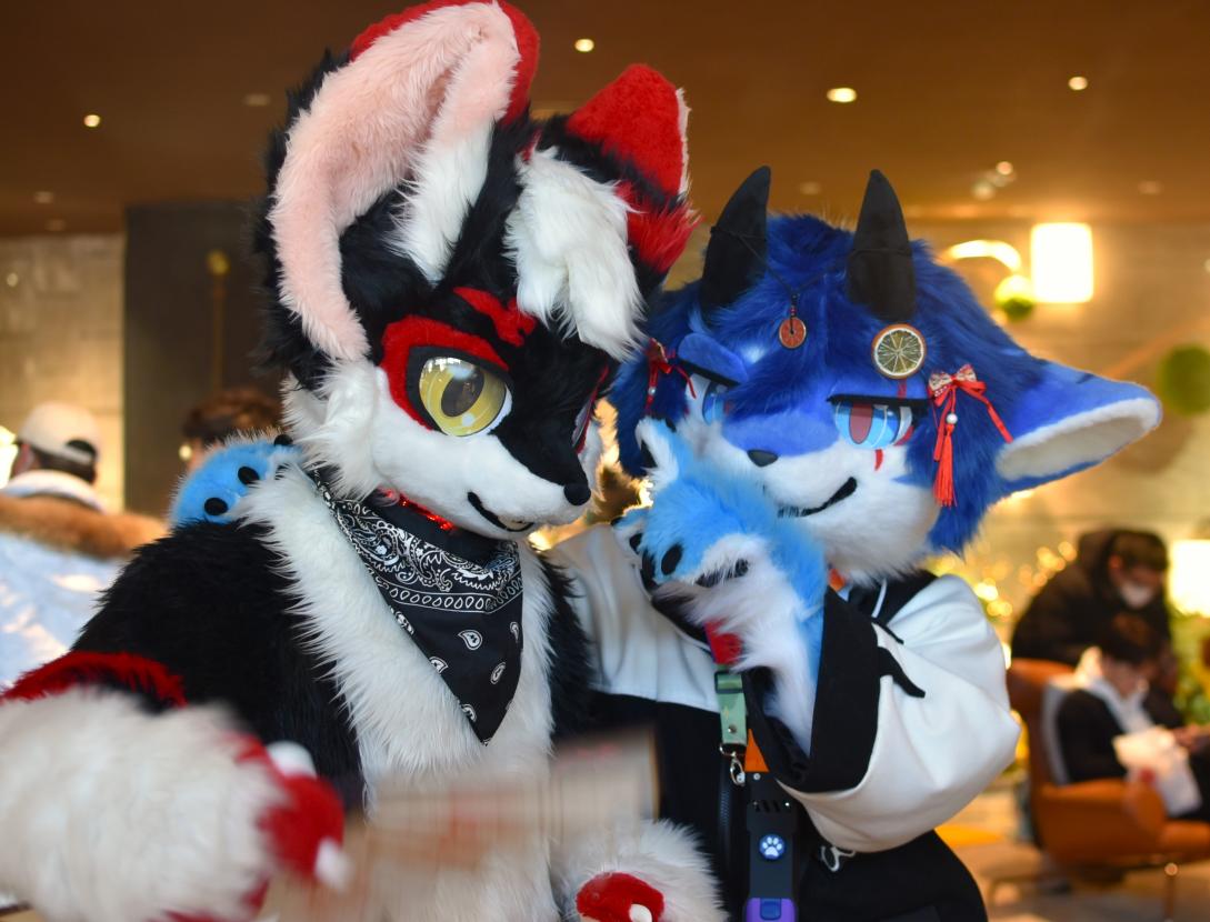 第二届绒兽汇Furry“兽聚”活动在济南顺利召开