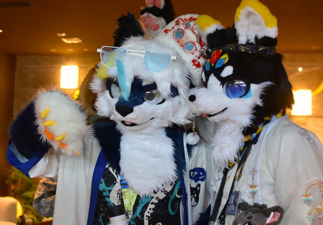 第二届绒兽汇Furry“兽聚”活动在济南顺利召开
