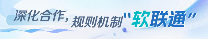 学习时节｜大湾区联通大未来