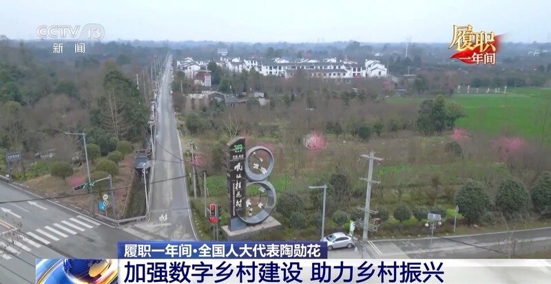 履职一年间丨“让更多人看到村里有啥” 关于数字乡村建设 她说了句大白话