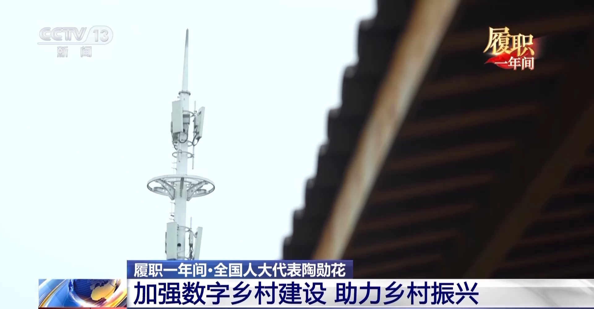履职一年间丨“让更多人看到村里有啥” 关于数字乡村建设 她说了句大白话
