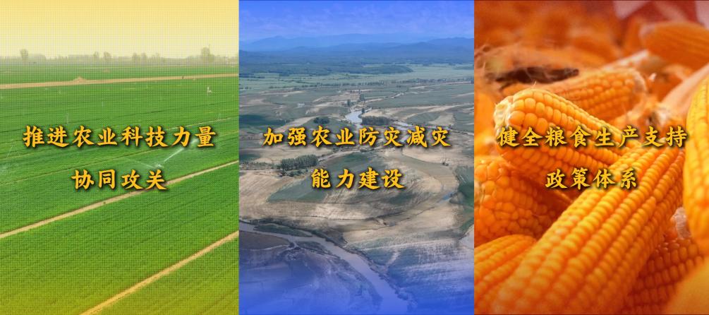 竖屏微视频｜关于重要农产品供给保障，中央一号文件这样要求