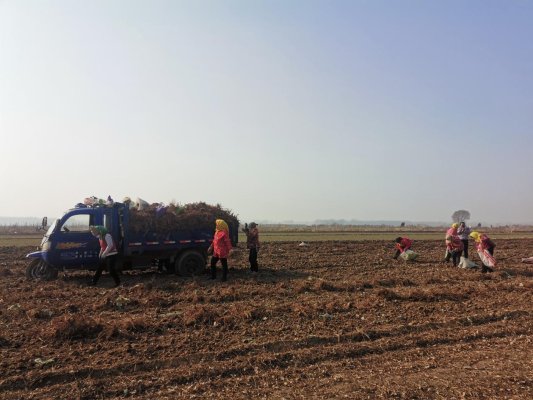 c9da09617b070d36be290150a846cc1