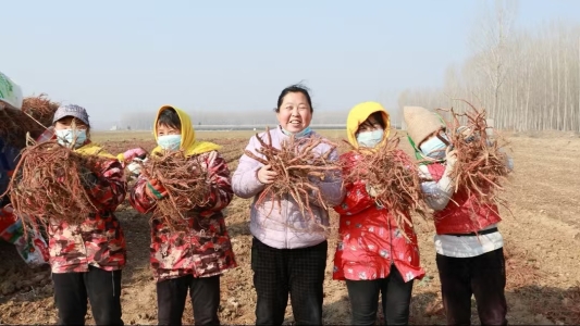 302a3935a9ee092d0f2fce37084a7b1