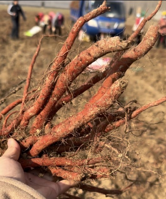 d67377d5a9172323aa8024fcdb85df5