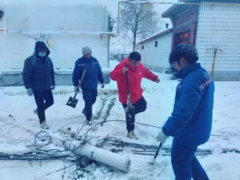 滨州大雪电线倒伏