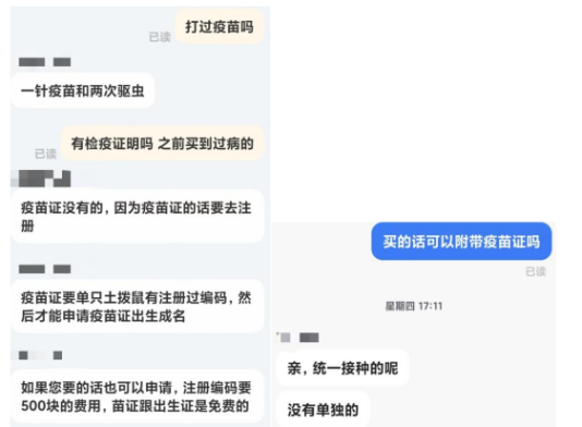 《哪吒2》带火活体土拨鼠网上销售，部分商家称要疫苗证需加价