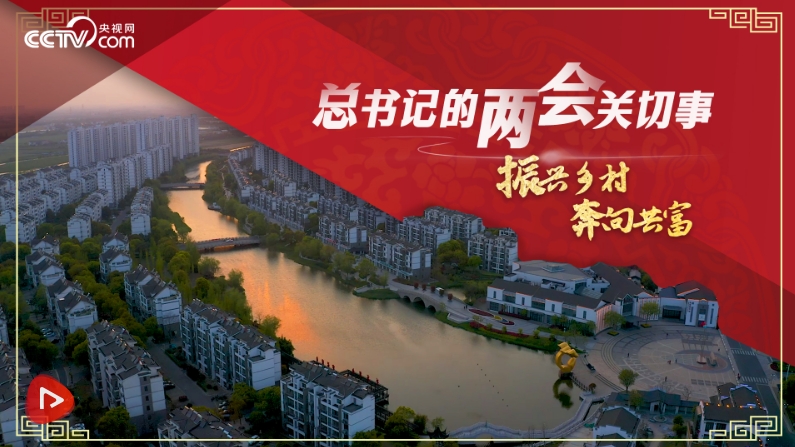 总书记的两会关切事｜振兴乡村 奔向共富