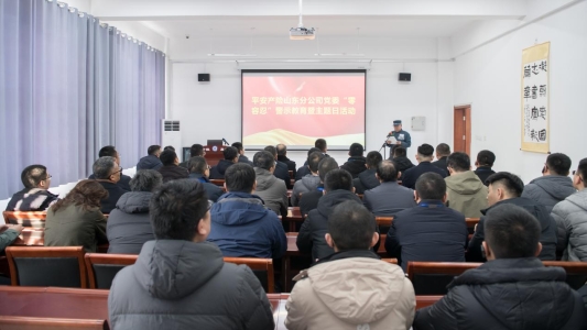 平安产险山东分公司组织开展“零容忍”警示教育暨主题党日活动