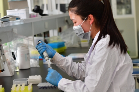 工作人员正在企业研究实验室进行育种实验