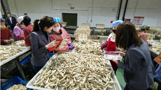 _cgi-bin_mmwebwx-bin_webwxgetmsgimg__&MsgID=4028908523534848597&skey=@crypt_a5f32c97_80c0be07ba298ca79669895fa35d2bb1&mmweb_appid=wx_webfilehelper