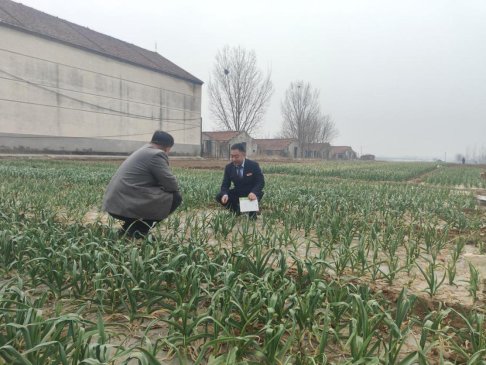 85b411fea284785ed8e405ae3ba5be6