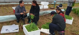 与网红交流