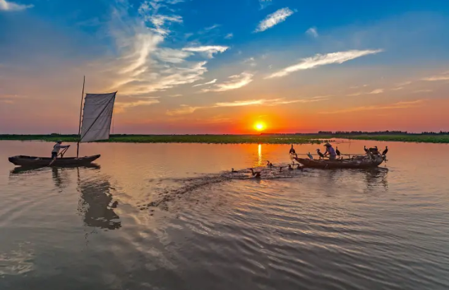 王伟:微山湖的“奢匠”