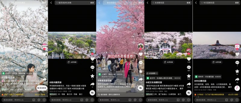 赏花带动区域文旅消费，清明前抖音机票团购订单量同比增长352%