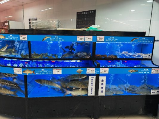 家家悦和瑞广场店焕新升级盛大开业，打造社区有温度的超市