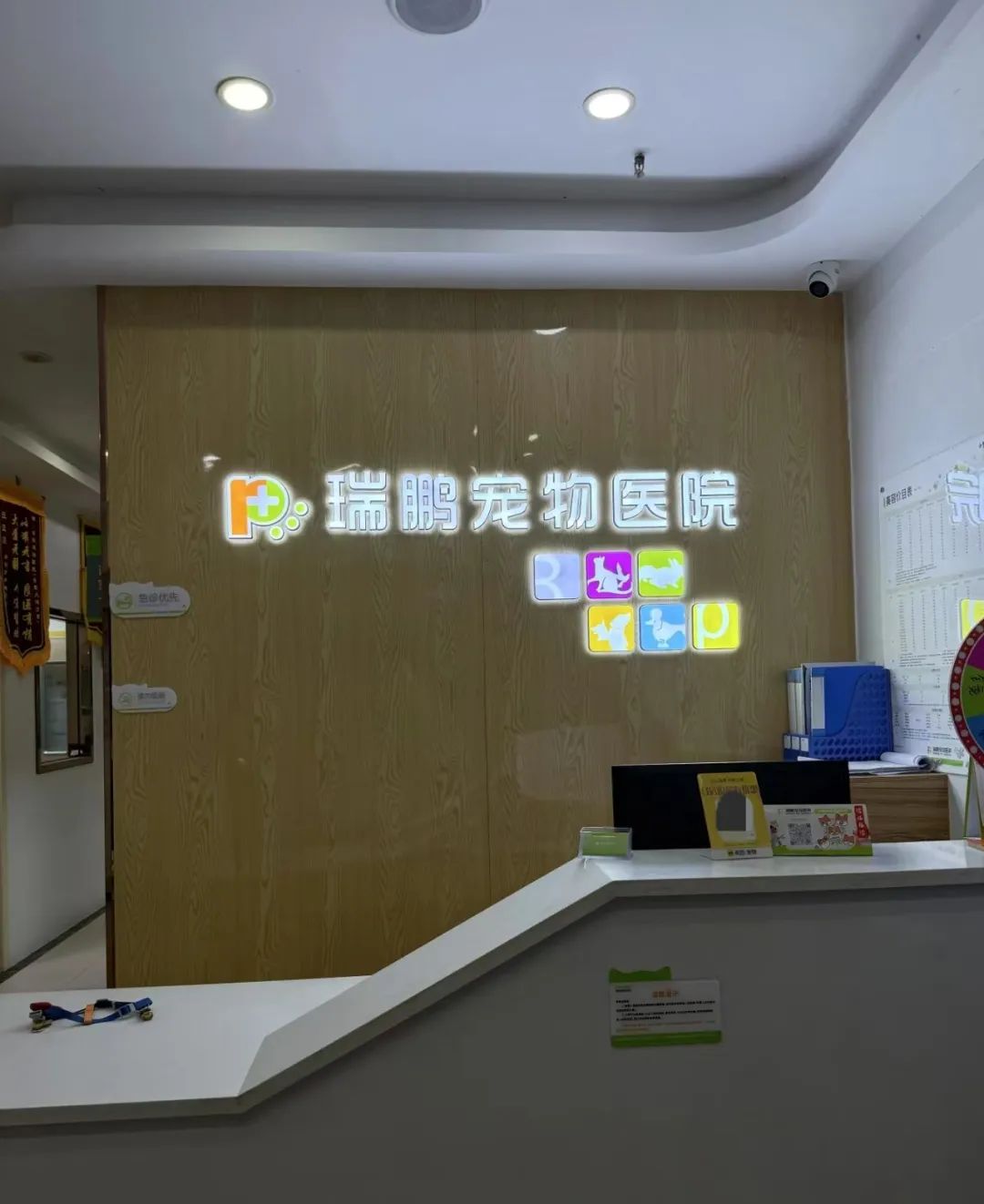 宠物狗在瑞鹏宠物医院洗澡后死亡，医院回应：主人索赔一万元，正协商