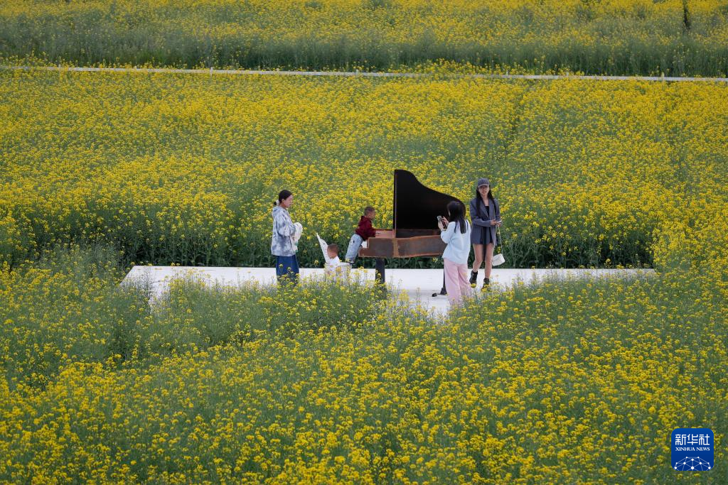浙江桐庐：油菜花开引客来