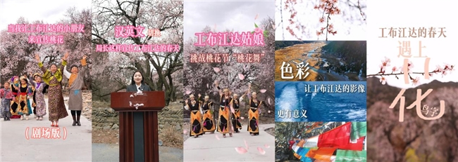 工布江达桃花节：以文旅融合绘就雪域春色新篇章