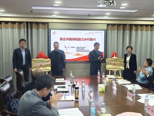 平安产险济南中心支公司：“政企共建保险助力乡村振兴活动”
