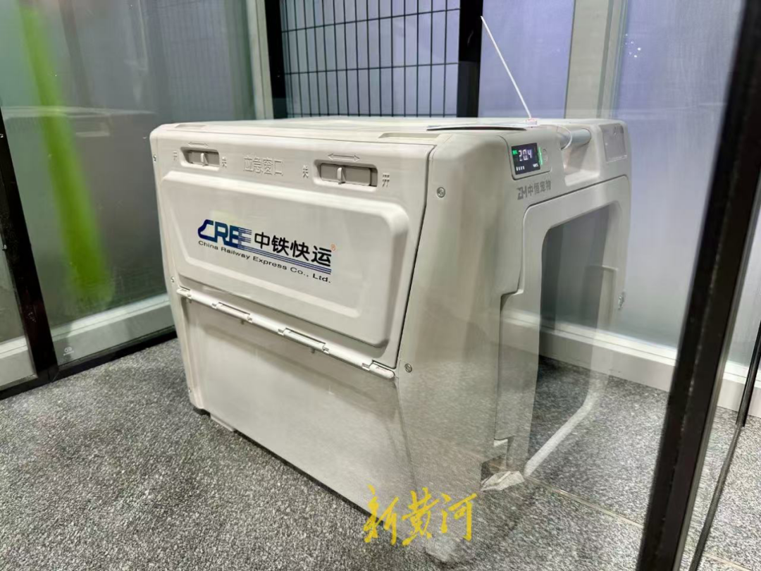 高铁宠物托运，用了谁的箱子？