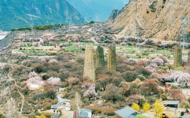 工布江达桃花节：以文旅融合绘就雪域春色新篇章