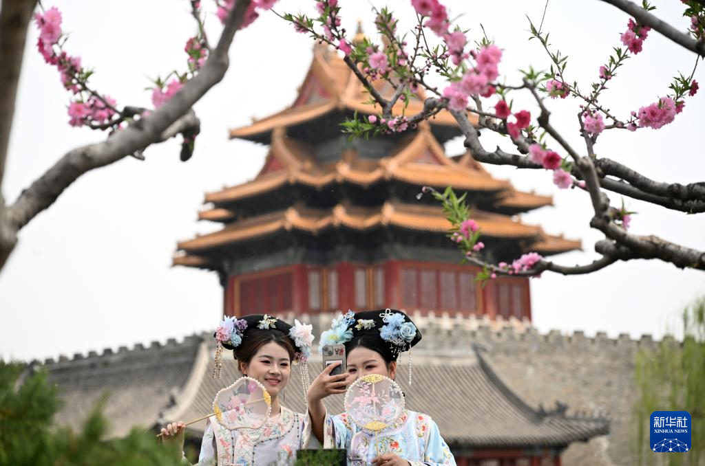 春风春景里的摄影热