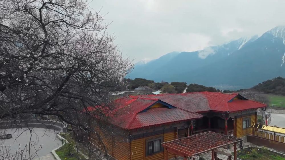 新华视点｜一业兴百业旺 特色产业绘就富民图景