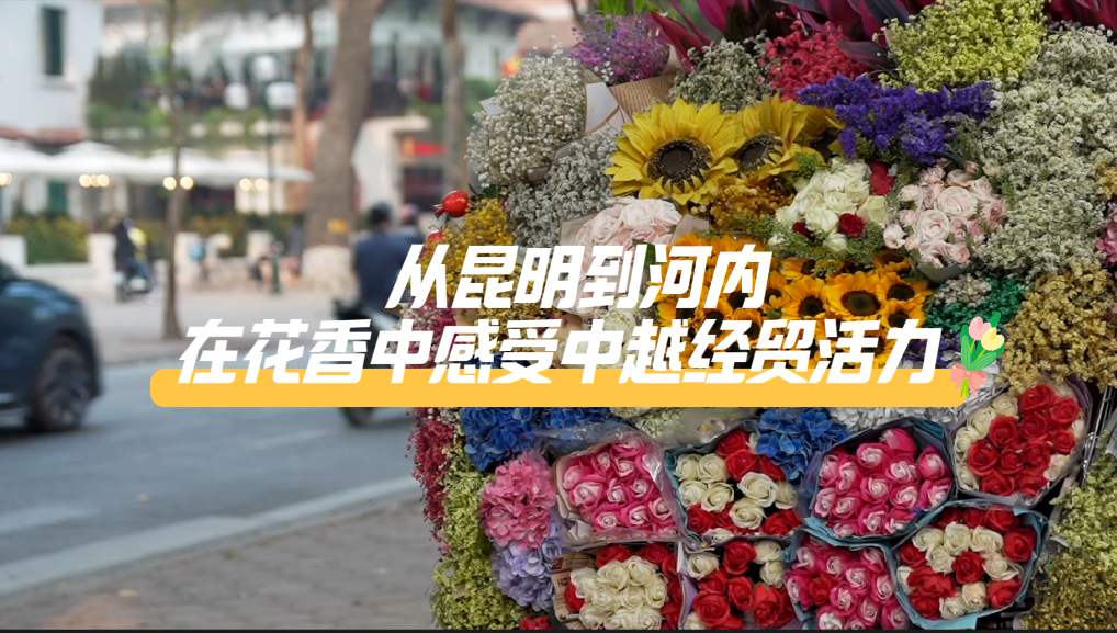 从昆明到河内 在花香中感受中越经贸活力