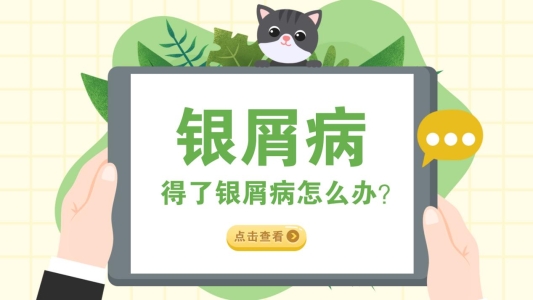 6银屑病中医病因病机