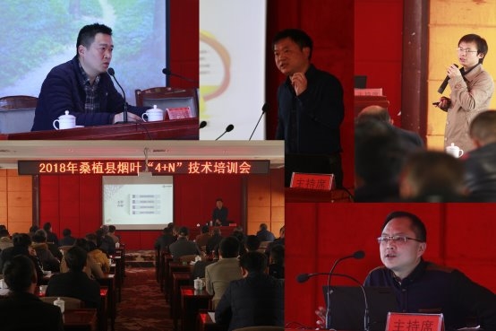 三十载携手同行，共绘“金叶富民”新图景—湖南中烟与桑植烟草的缘与情